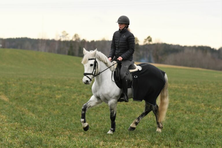 Hur man rider övergångar Ryttarens